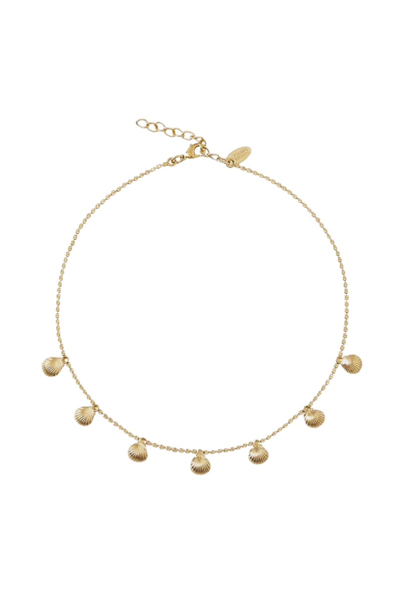 Caroline Svedbom Petite Shell Choker Necklace - Gold