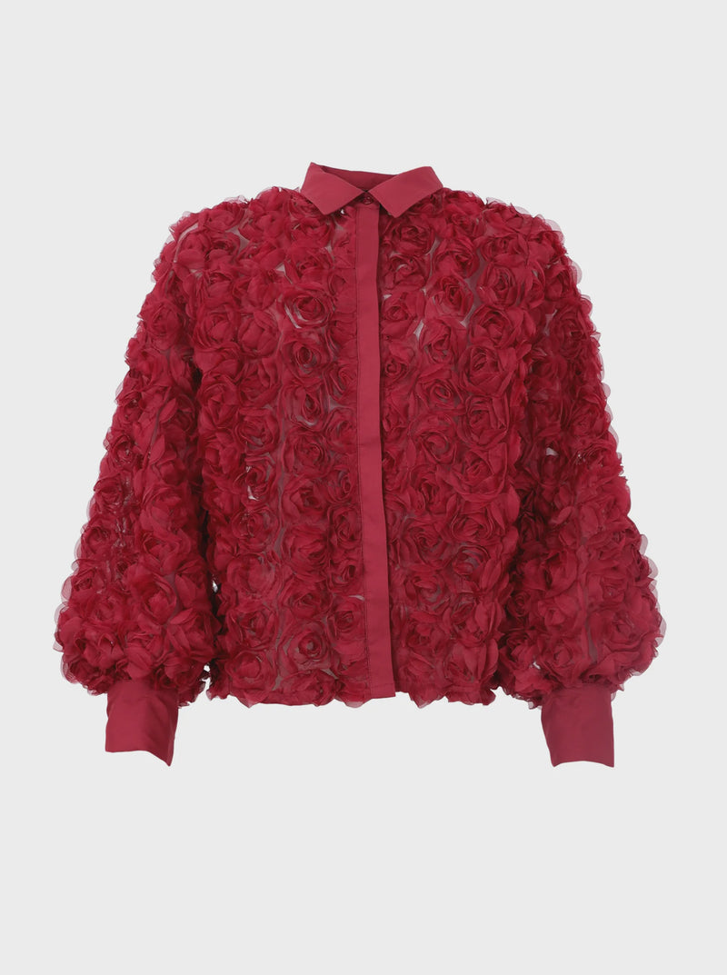 Black Colour Chiara Shirt - Wine