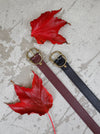 Black Colour Eleanor Belt - Black