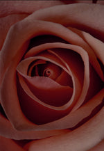 Never Fully Dressed EDP Candle 01