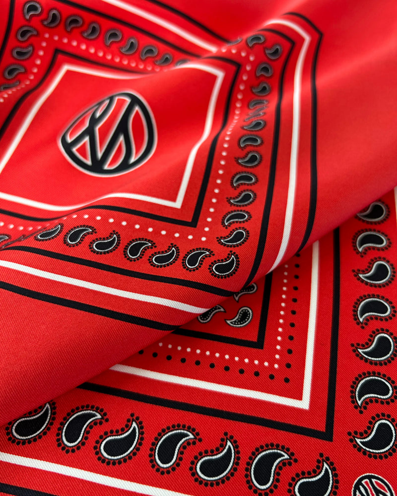 Lescarf Paisley Scarf - Red