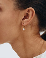 Edblad Gemma Hoop Earrings - Gold