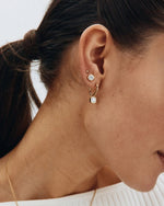 Edblad Gemma Hoop Earrings - Gold