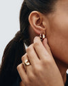 Edblad Plie Hoops Double Gold Earrings - Gold