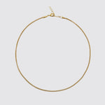 Caroline Svedbom Petite Rope Necklace - Gold