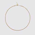 Caroline Svedbom Petite Rope Necklace - Gold