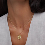 Orelia Fine Crystal Collar Necklace - Gold