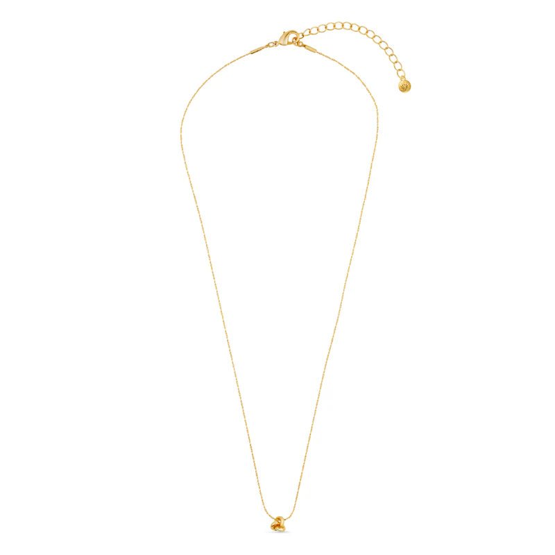 Orelia Mini Knot Fine Collar Necklace - Gold