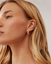 Anna Beck Classic Wide Hoop Earrings - Gold